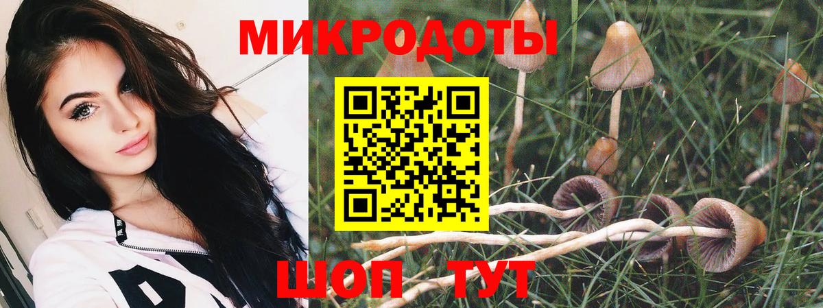 Галлюциногенные грибы Cubensis  Псилоцибиновые грибы Magic Shrooms  Конаково  Вход с VPN 
